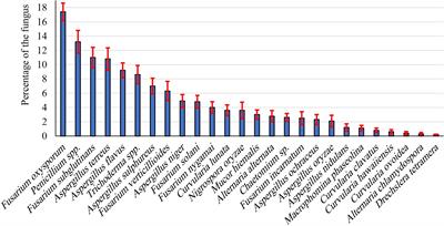 A Novel Endophytic Trichoderma longibrachiatum WKA55 With Biologically Active Metabolites for Promoting Germination and Reducing Mycotoxinogenic Fungi of Peanut